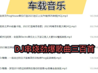 【限时免费分享】车载音乐 DJ串烧劲爆歌曲三百首